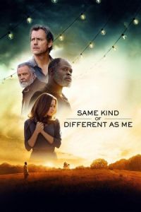 Same Kind of Different as Me (2017)