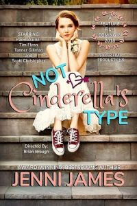 Not Cinderella’s Type (2018)