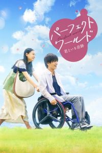 Perfect World (Pafekuto warudo) (2018)