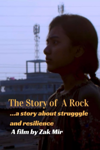 The Story of a Rock (2025)